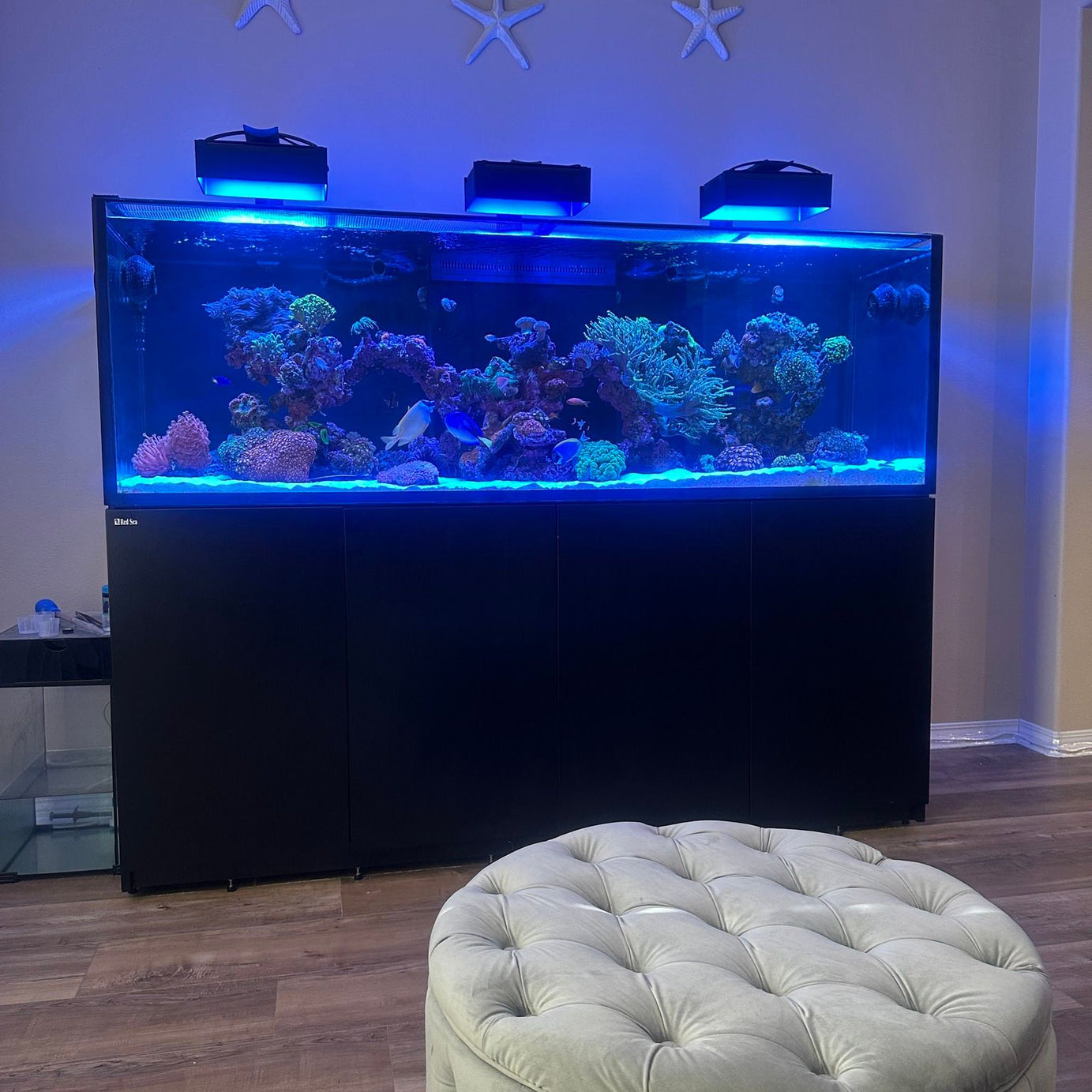 EcoTech Marine Radion XR30 Light Shade