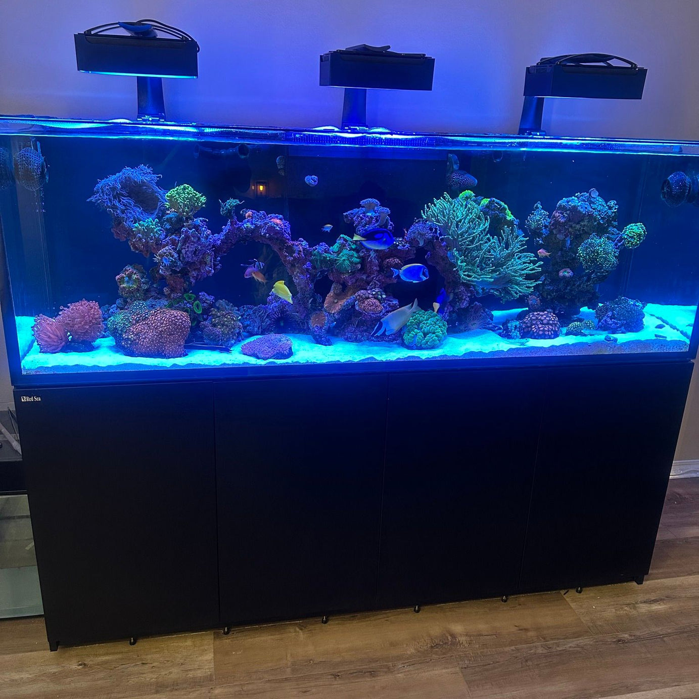 EcoTech Marine Radion XR30 Light Shade