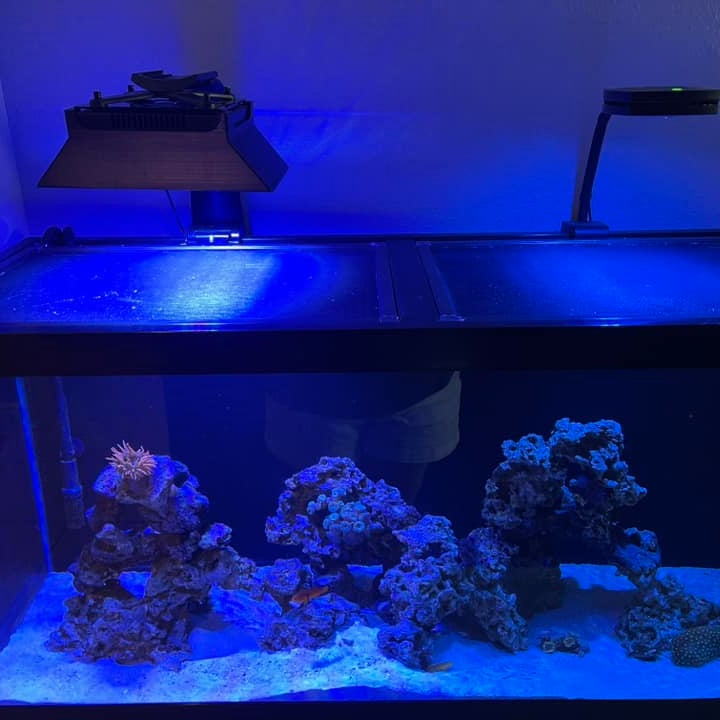 Ecotech Marine Radion XR15 G3, G4, G5 & G6 PRO Light Shade