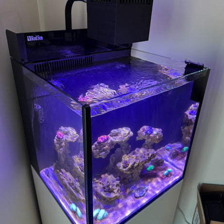 Red Sea ReefLED 50 LED Light Shade