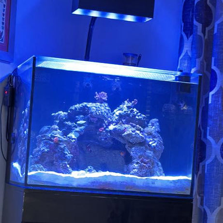 AquaIllumination Hydra 64 HD LED Reef Light Shade