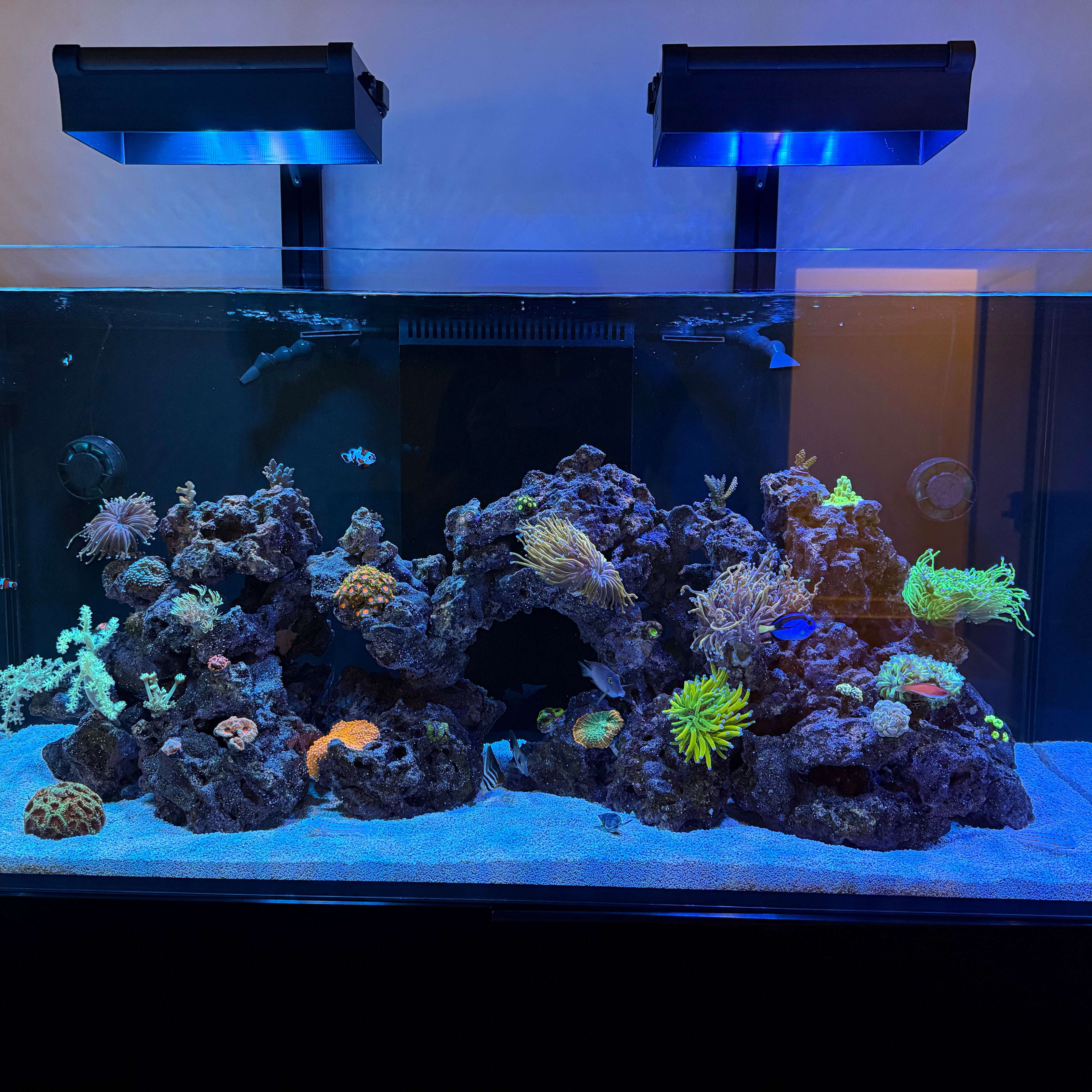 AquaIllumination Hydra Edge 44HD Light Shade