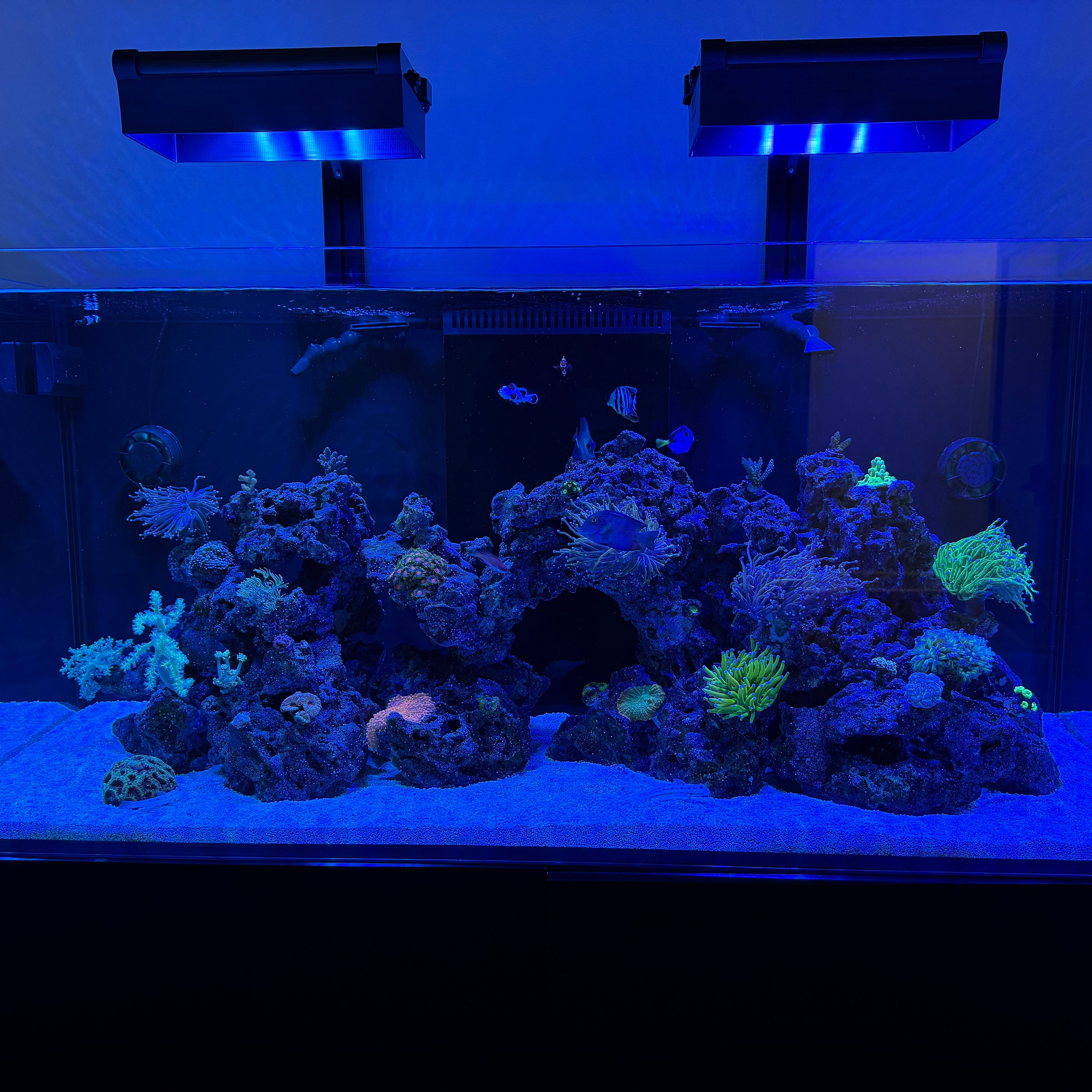 AquaIllumination Hydra Edge 44HD Light Shade