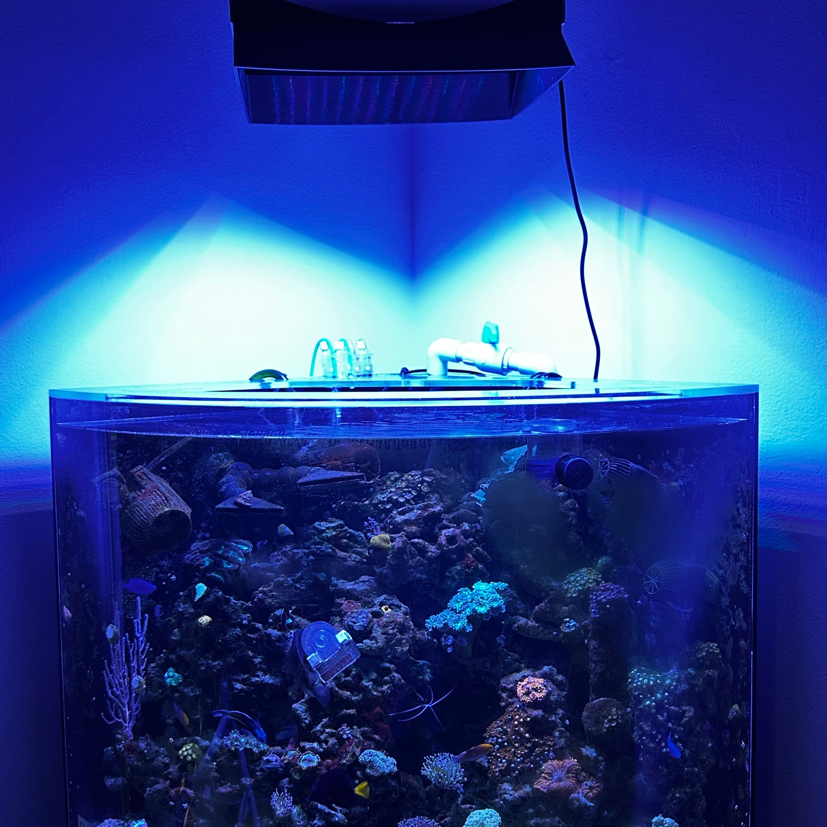 Orphek Natura iCon Light Shade