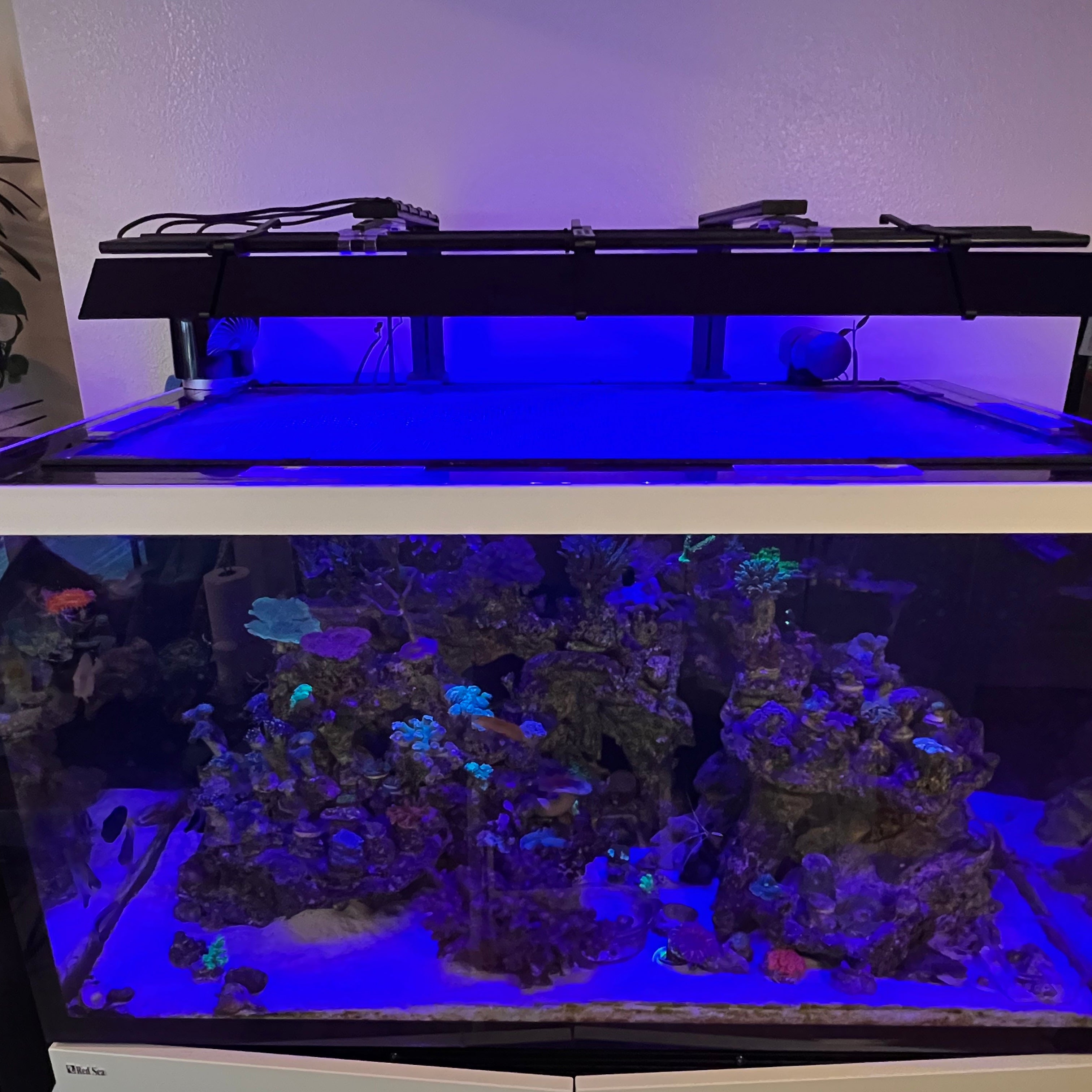 AquaIllumination Blade Light Shade Set of 2 (Coral Grow, Glow, Freshwater, Refugium)