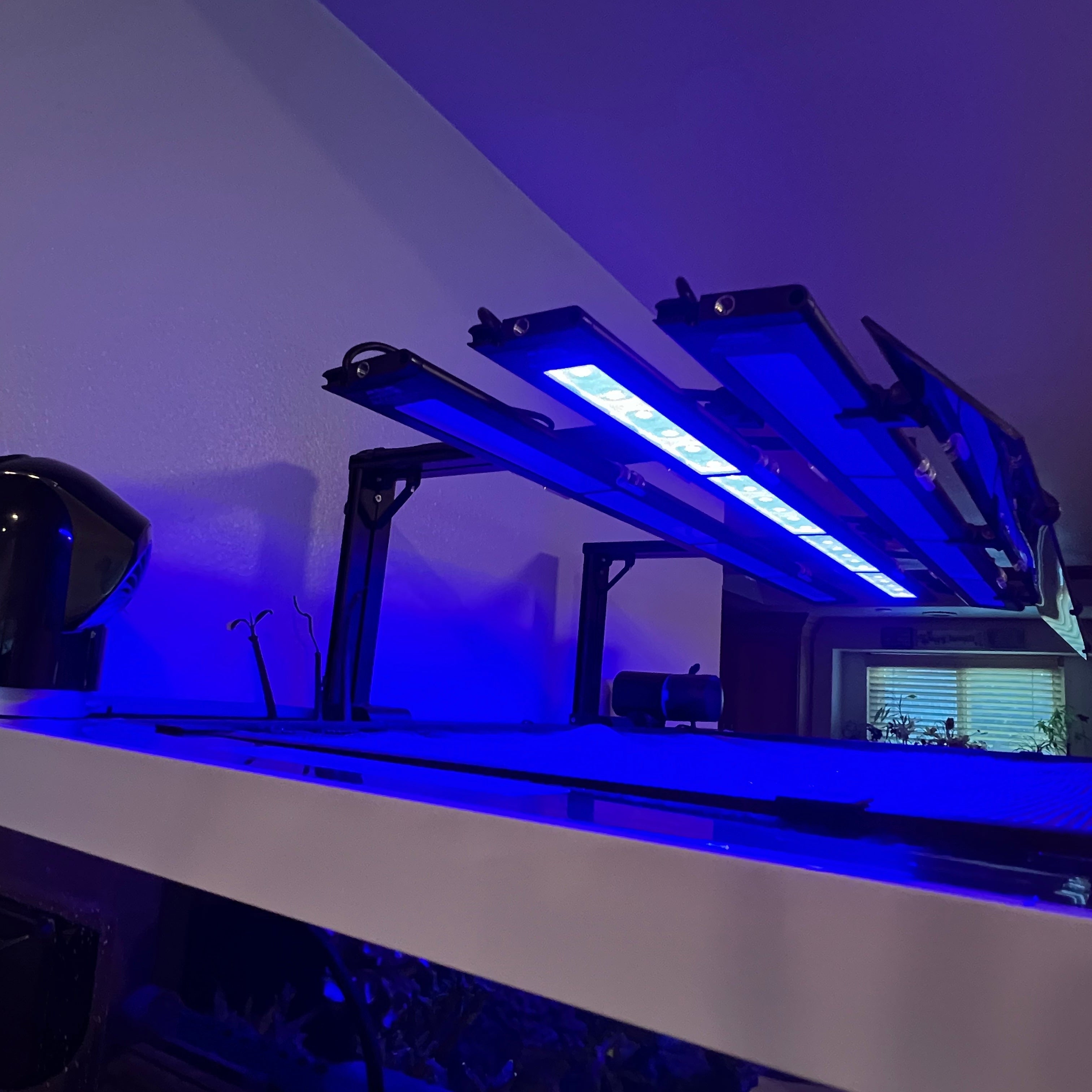 AquaIllumination Blade Light Shade Set of 2 (Coral Grow, Glow, Freshwater, Refugium)