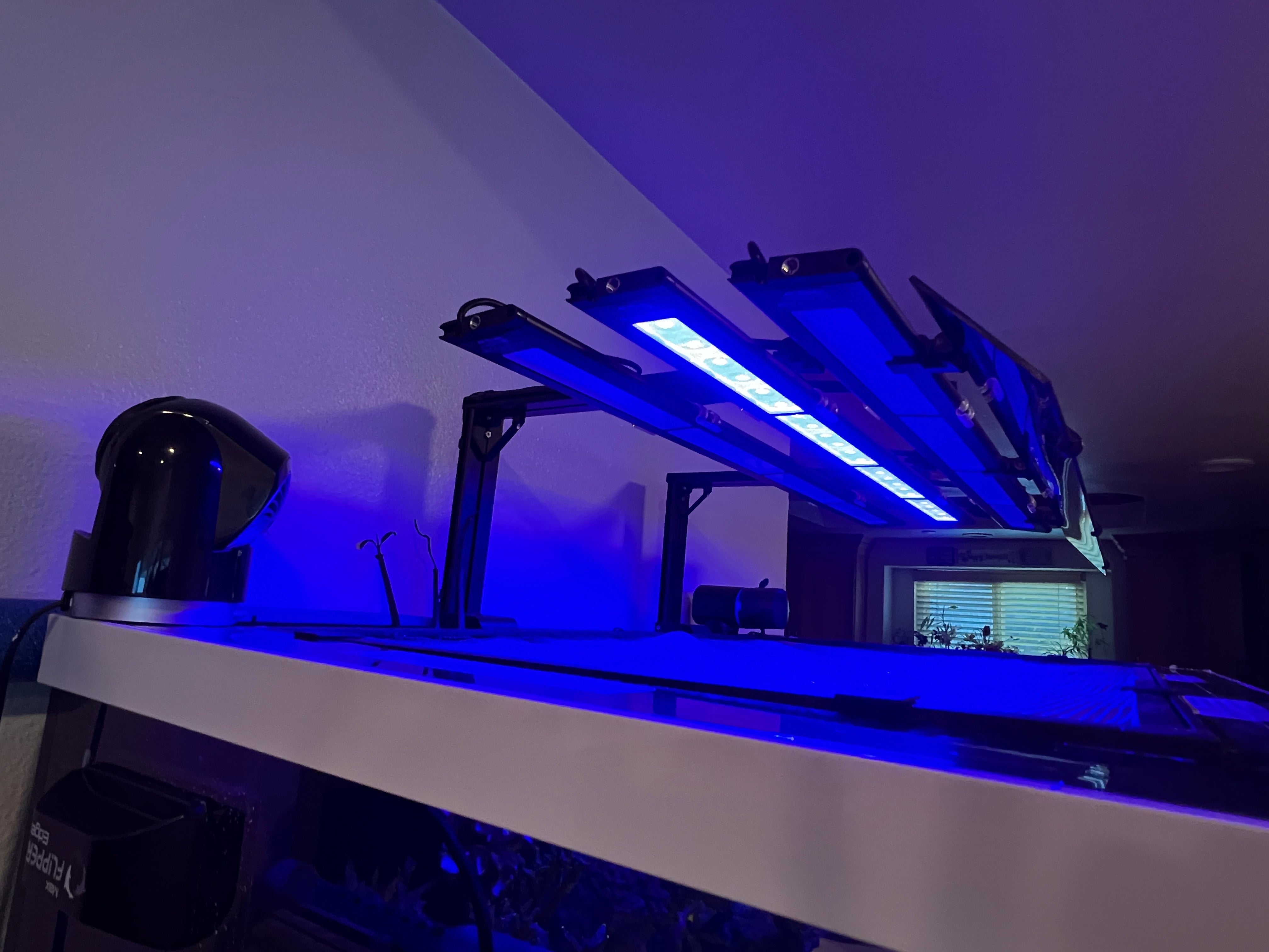 AquaIllumination Blade Light Shade Set of 2 (Coral Grow, Glow, Freshwater, Refugium)