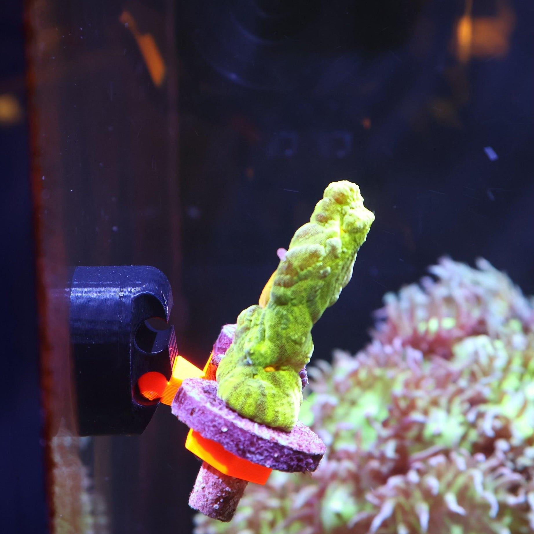 FragLoc™ - Magnetic Coral Frag Rack Kit