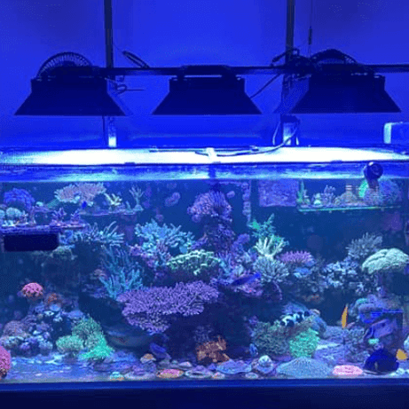 EcoTech Marine Radion XR30 Light Shade