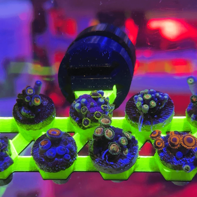 FragLoc™ - Magnetic Coral Frag Rack Kit