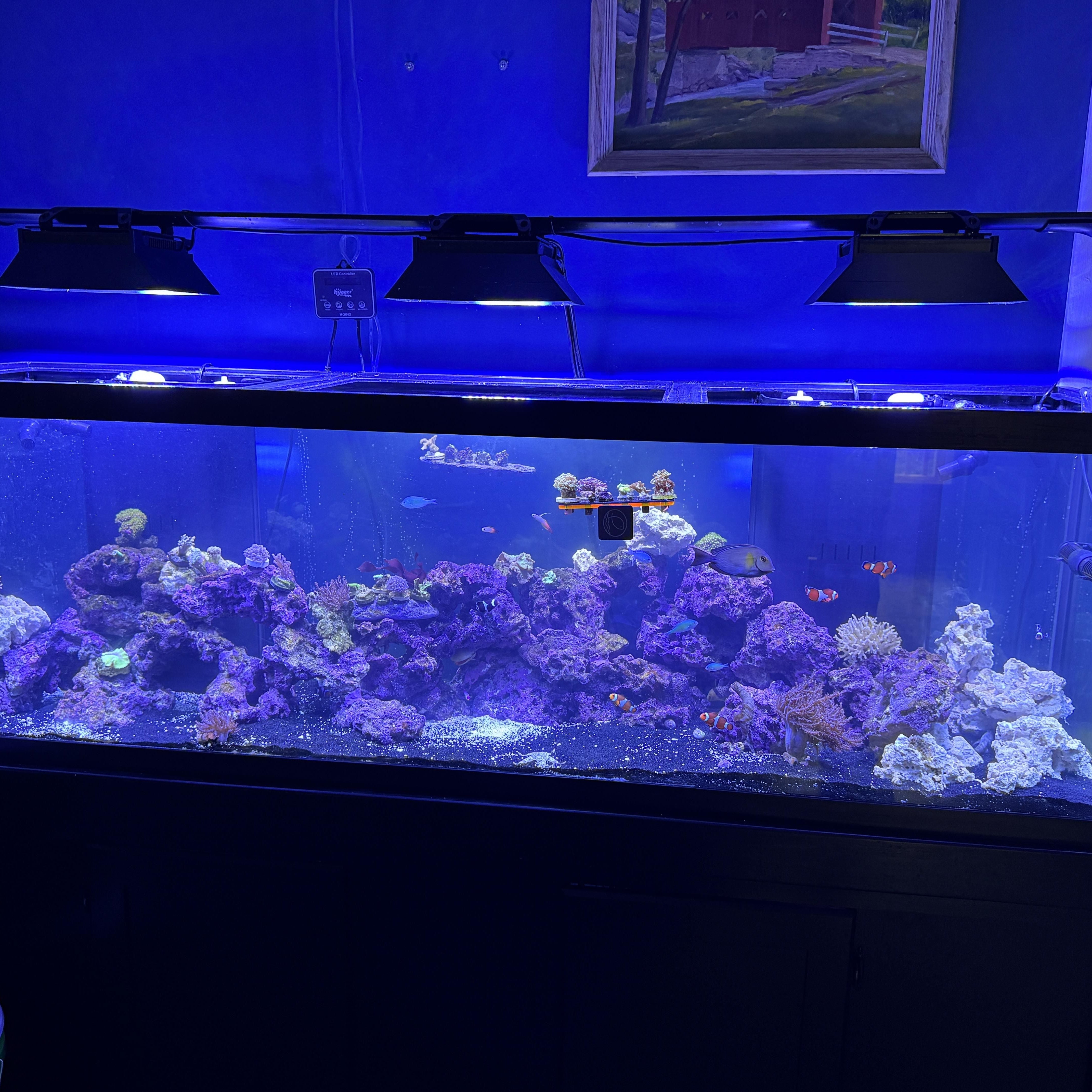 Ecotech Marine Radion XR15 G3, G4, G5 & G6 PRO Light Shade